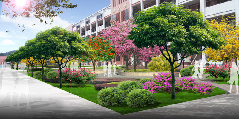 大學(xué)校園綠化設(shè)計(jì)